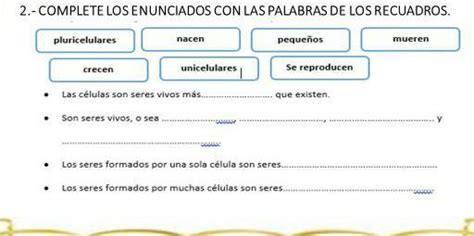 Completa Los Enunciados Con Las Palabras De Los Recuadros Brainly Lat