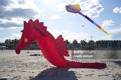 International Kite Flying Festival Photos and Premium High Res Pictures - Getty Images