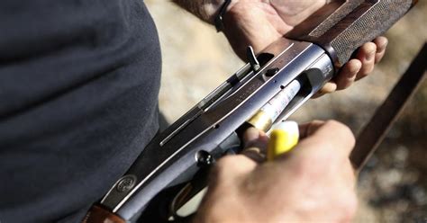 Un Chasseur Meurt Par Balle Lors Dune Battue Dans Le Pas De Calais