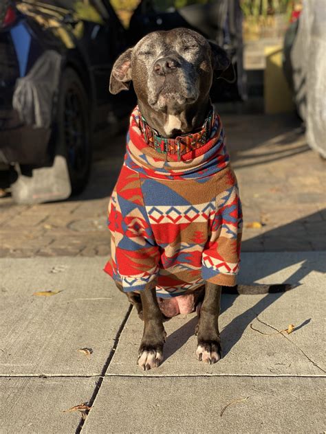 Best Late Afternoon Images On Pholder Earth Porn Cozy Places