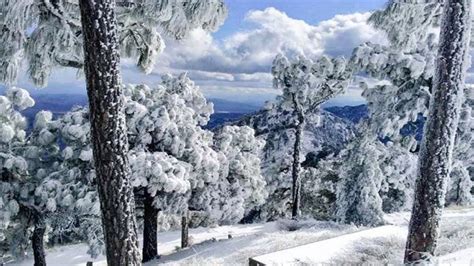 Nieve En Sonora Conoce Las Ciudades En Las Que La Navidad Se Pinta De