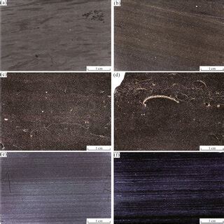 Typical sedimentologic characteristics of the Wufeng-Longmaxi shale on ... 