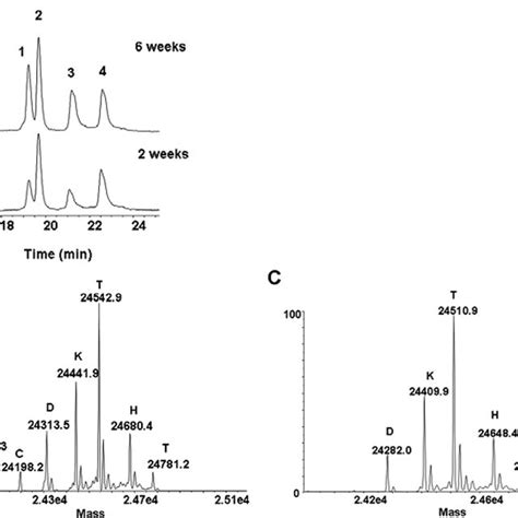 LC MS MS Of The Lys C Peptide Maps For The Control C1 And C2 The