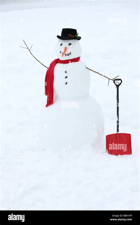 Snowman with carrot nose and red scarf Stock Photo - Alamy