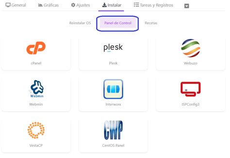 Viene Un Panel Como Cpanel Dentro De Una Vps Autogestionada