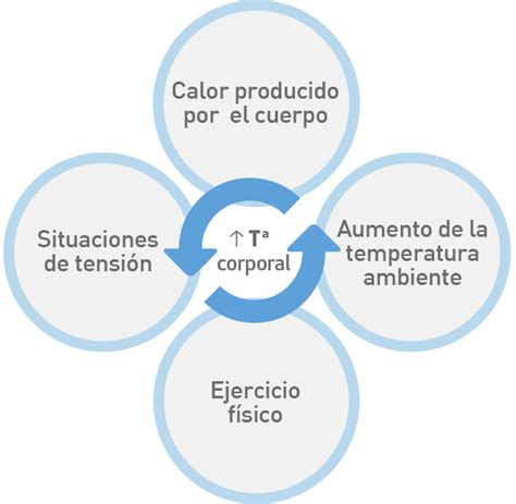 Sudoraci N Proceso Y Grados De Sudoraci N Driosec