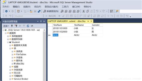 安装sql Server 2017教程，sa教程及新建数据库，新建表和基础的增删改操作 航行学园