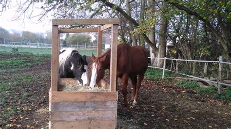 Introduce Imagen Ratelier Foin Chevaux Fait Maison Fr