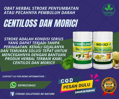 Rekomendasi Herbal Obat Stroke Ringan Dan Berat Lumpuh Sebelah Pecah