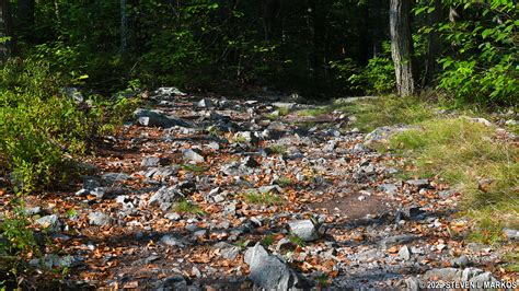 Catoctin Mountain Park | THURMONT VISTA LOOP HIKE