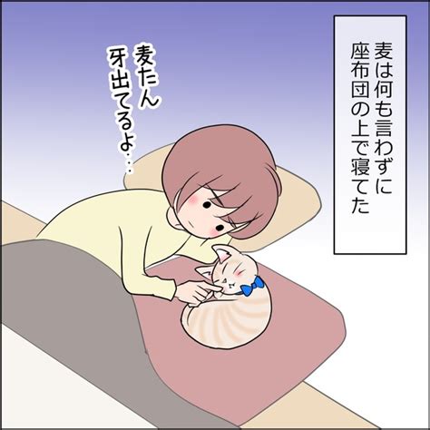 ＜画像72 102＞【ネコ漫画】夢にまでみた「猫との生活」を手にいれた！生きててよかった猫との日常をリアルに描いたネコ漫画に共感の嵐