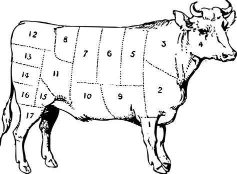 Meat From A Cow Diagram