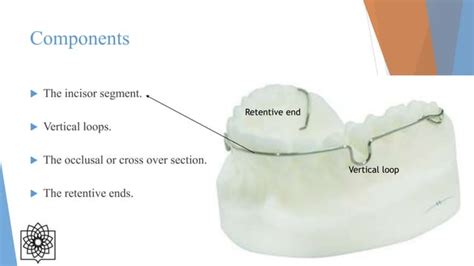 Labial Bow Functions Constructions Types And Indications Ppt