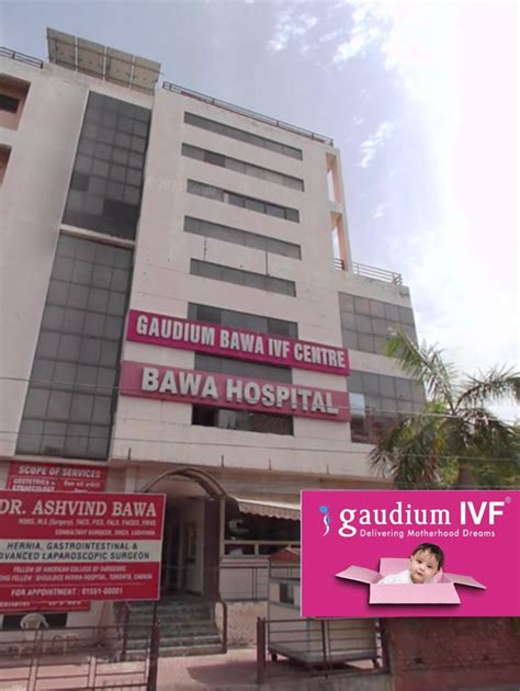 Top Best Ivf Centres In India With High Success Rate In Gaudium