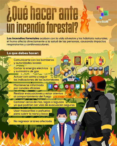 InfografÍa Sabías Que Los Incendios Forestales No Solo Afectan Las