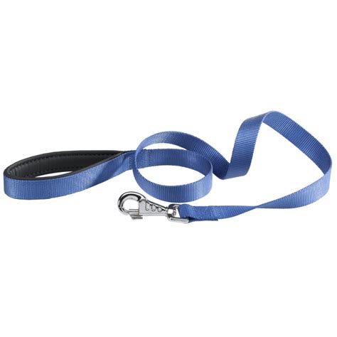 Laisse En Nylon Daytona G Bleu Ferplast Pour Chiens