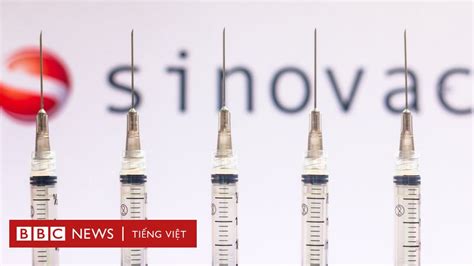 Sinovac Ch Ng Ta Bi T G V Vaccine Covid C A Trung Qu C Bbc