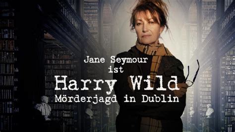 Harry Wild Mörderjagd in Dublin Sendetermine Stream Januar