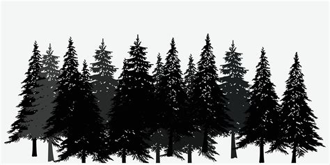 Pine Trees Vector Collection Nature Silhouette Landscape Spring