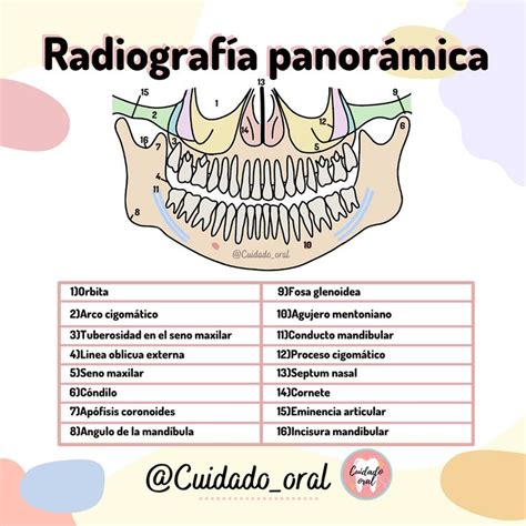 Radiografía panorámica Anestesia en odontologia Odontología