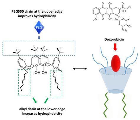 Molecules Free Full Text Role Of Calixarene In Chemotherapy