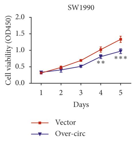 Overexpression Of Hsa Circ 0000994 Suppressed The Carcinogenic