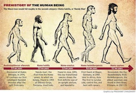 History Of World The First Humans First Humans Prehistoric Man Human