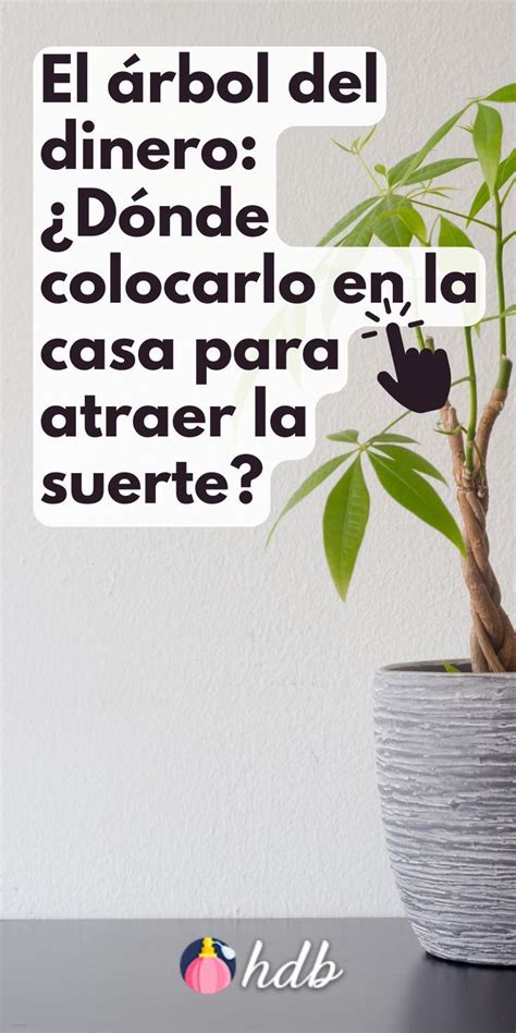 Donde colocar el Arbol del Dinero para atraer la suerte Árboles de