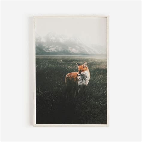 Fox in Forest Field, Red Fox Photography, Rustic Fox Print, Nature Wall Art, Fox Wildlife ...