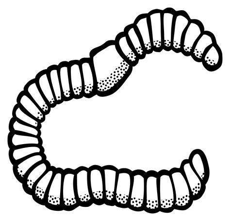 Earthworm Clip art - others png download - 2400*2301 - Free Transparent ...