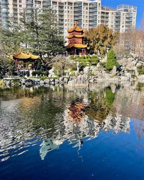 The Chinese Garden of Friendship, Sydney Australia | CityDays