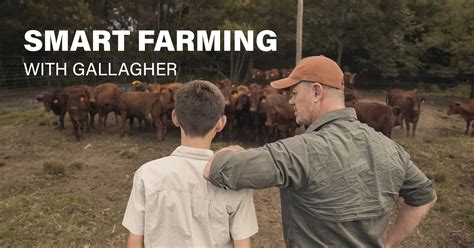 Farm Without Effort With Gallaghers Smart Animal Management Devices