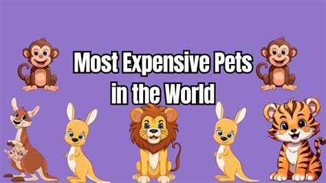 Opulence Unleashed Exploring The Most Expensive Pets In The World