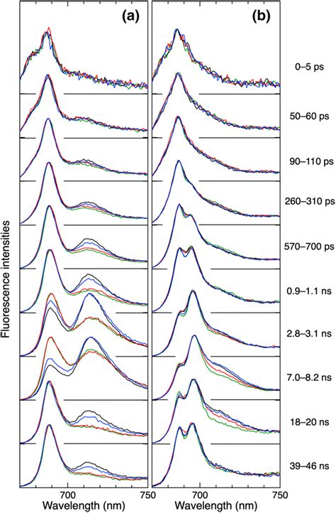 Time Resolved Steady State Fluorescence Spectra Of The Diatom Cells At