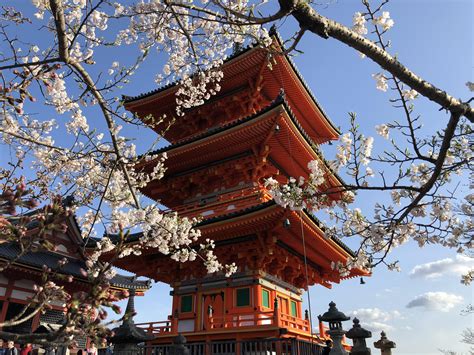 Pagoda at Kiyomizu-dera Temple in Kyoto, Japan : r/travel