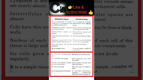 Difference Between Meristematic Tissue Permanent Tissue Plant