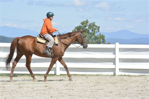 Photos of Horseback Riding Lessons - High Meadows Farms