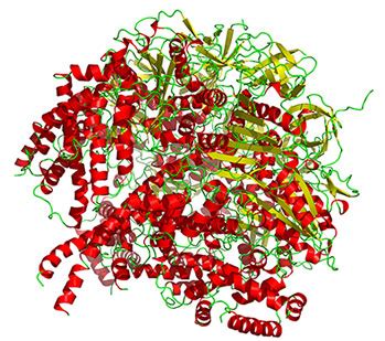 Atp Synthase What Is Atp Synthase About Its Science Chemistry And