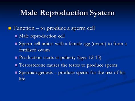 Pre Ejaculation Whats The Purpose Of Pre Ejaculatory Fluid Ppt