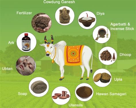 Buy Cow Dung Powder Online | Saani Powder