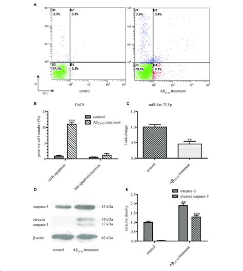 Aβ 25−35 25 µm 24 H Induce Mscs Apoptosis A Facs Analysis Of