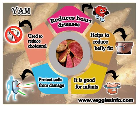 Yam Types Health Benefits And Its Nutritional Value Veggies Info