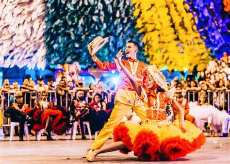 Dançar Ao Som De Um Estilo Musical Bem Brasileiro - Conheça +20 tipos de danças: ritmos do Brasil e do mundo