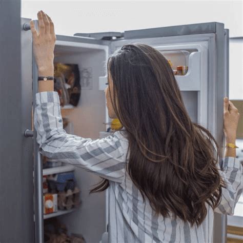 El Truco Para Reducir El Recibo De Luz Con El Buen Uso Del Refrigerador