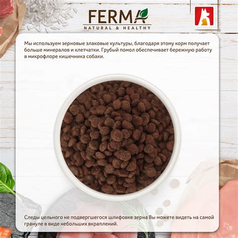 Корм сухой Зоогурман Ferma high energy для активных собак Индейка ...