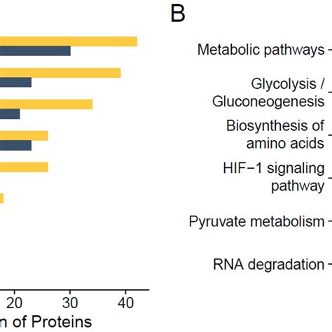 Nanoparticle tracking analysis (NTA) of extracellular vesicles. NTA ... 