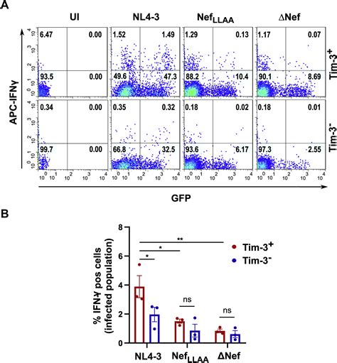 The Hiv Accessory Protein Nef Increases Surface Expression Of The