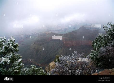 Snow storm at the South Rim of the Grand Canyon Arizona USA Stock Photo ...