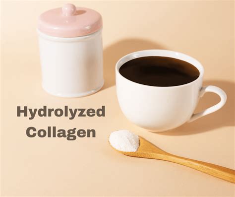 What Is Hydrolyzed Collagen? - Health Benefits & More!