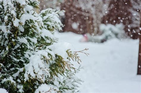 Яким був лютий на Чернігівщині – ЧЕline